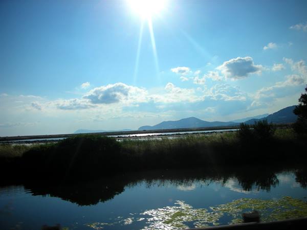hyeres salt flats