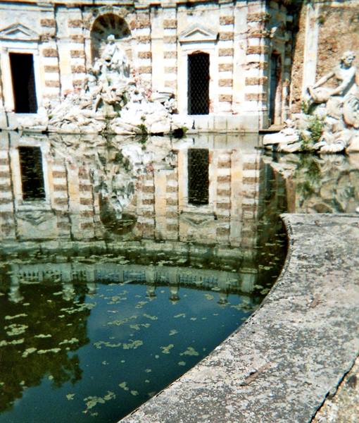 little pond at the back