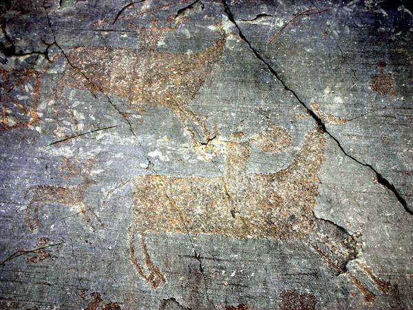 Rock engravings park