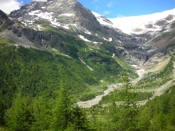 bernina