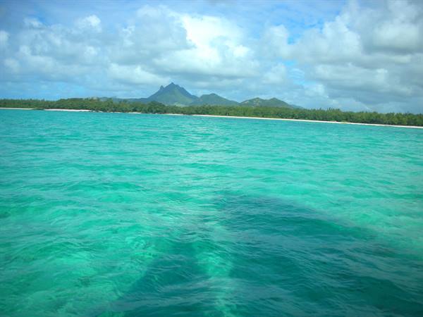 catamaran trip