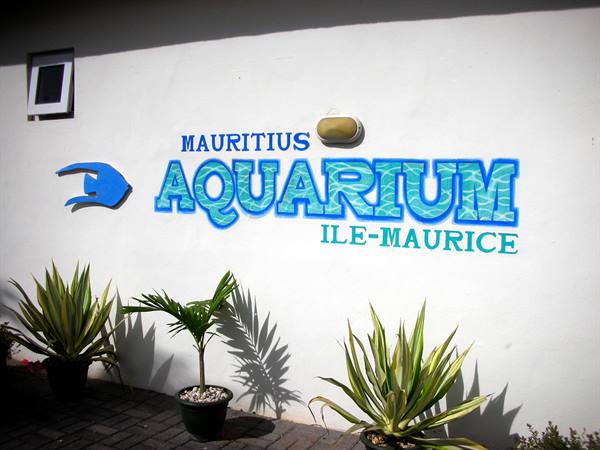 Mauritius aquarium