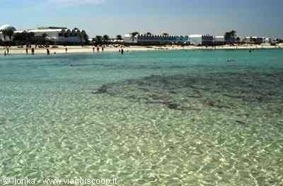 the sea of Djerba