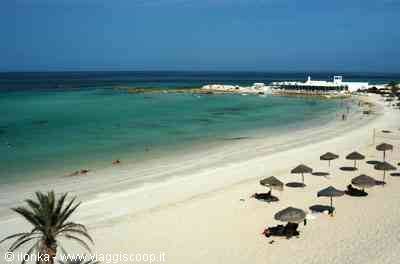 White sand beach with straw umbrellas, palm tree and turquoise sea