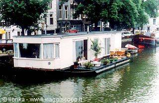 White houseboat with plants moored on an Amsterdam canal