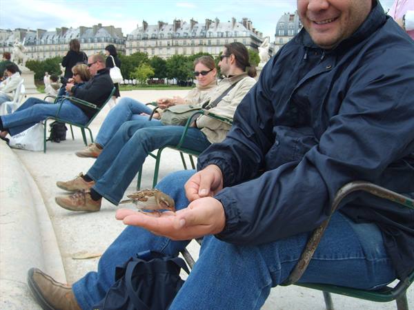 a little bird at Les Tuileries