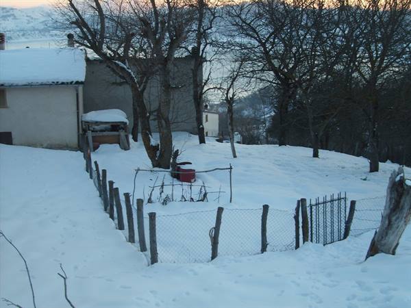 mascioni under the snow