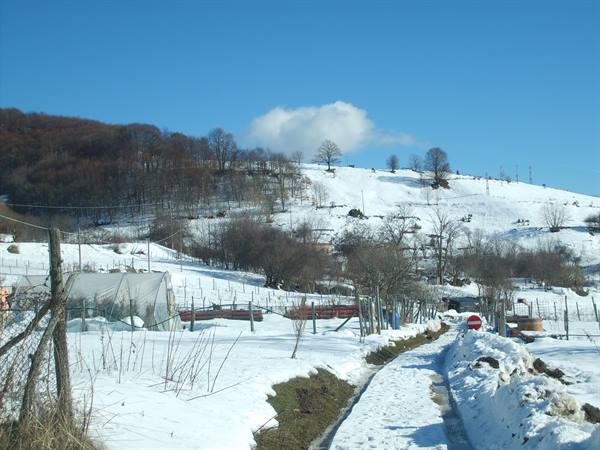 Snowy road between gardens and greenhouses, snow-covered hill under blue sky