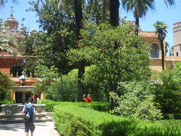Tourists among fountains and orange trees in Seville's Alcázar gardens