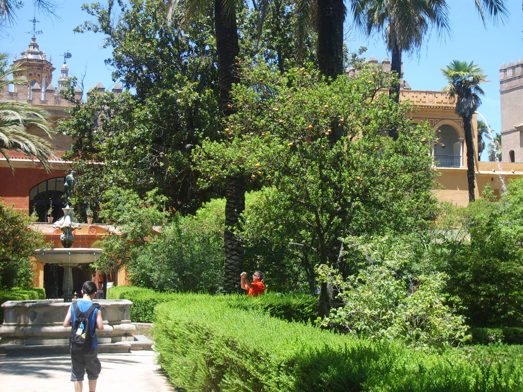 Tourists among fountains and orange trees in Seville's Alcázar gardens