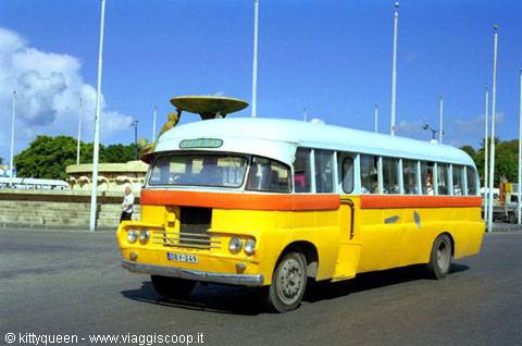 TYPICAL BUSES