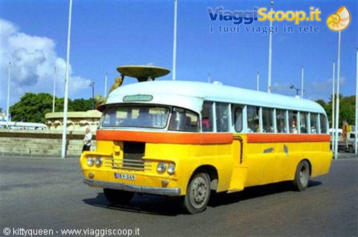TYPICAL BUSES