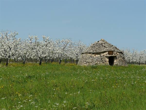 Murgie - Abandoned trullo