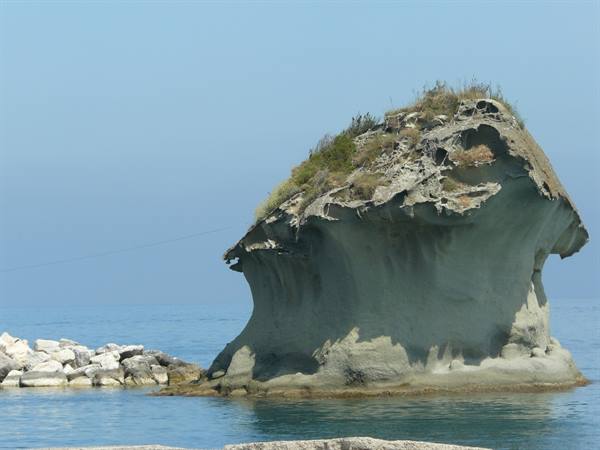 Ischia - Lacco Ameno - Mushroom