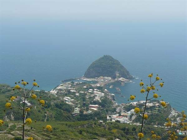 Belvedere