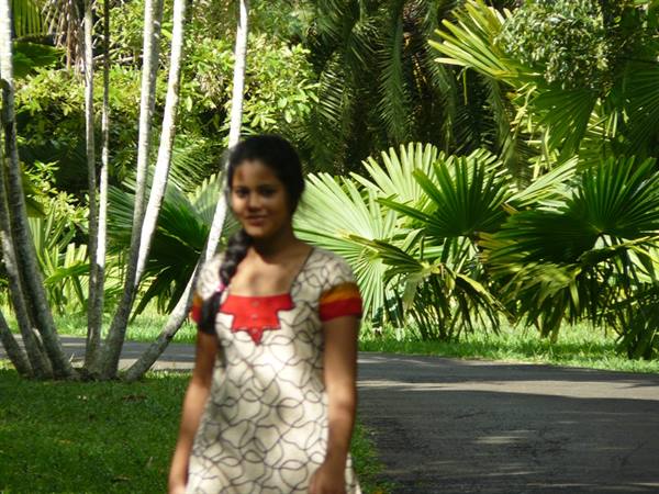 Pamplemousses Botanical Garden