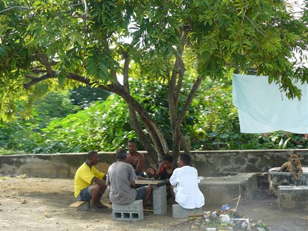Mauritian Life