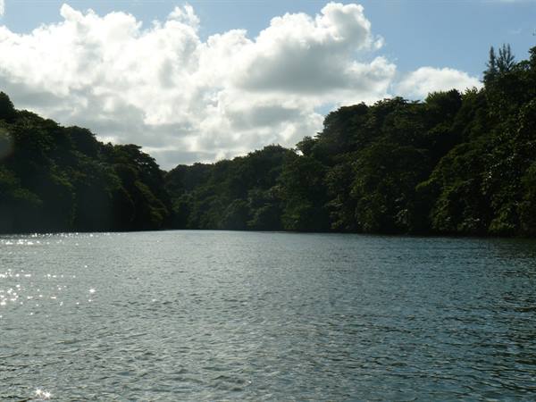 Grand Riviere Sud Est