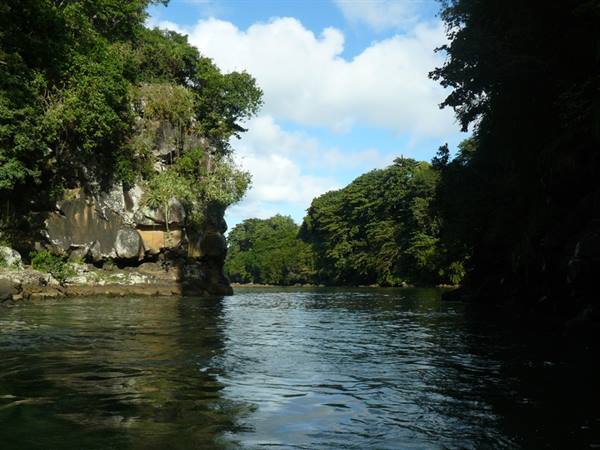 Grand Riviere Sud Est