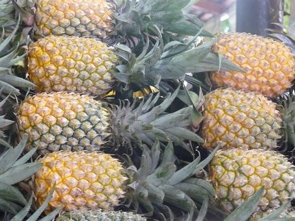 Port Louis - Central Market