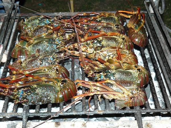Barbecue on the beach