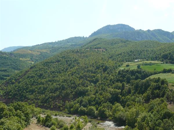Along the Macedonian roads
