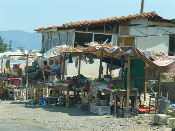 Along the Albanian roads