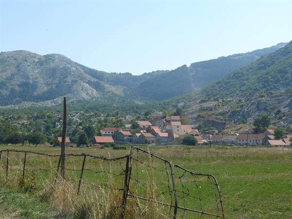 Njegusi