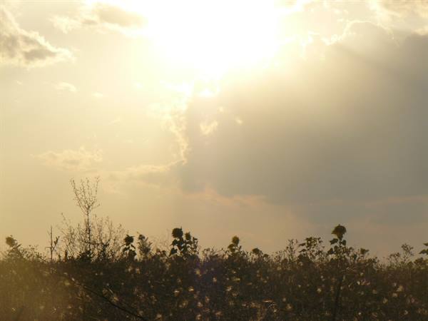 Sunset on the roads of Thessaly