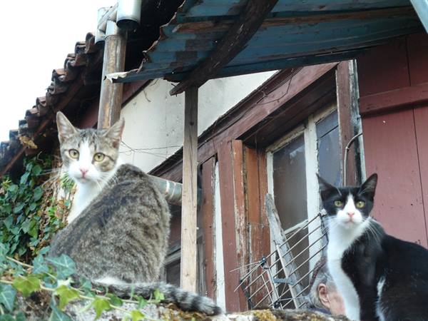 IOANNINA