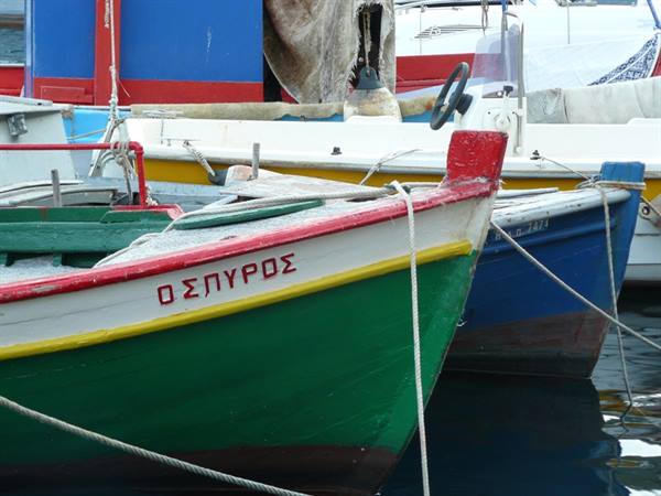 GAIOS