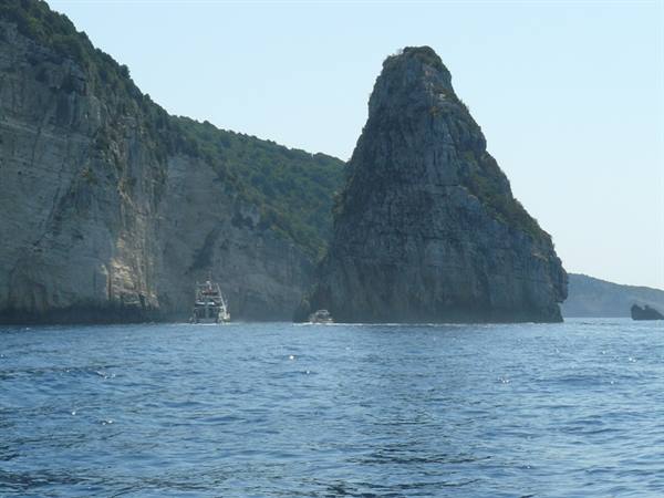 PAXI - ORTOLITHOS, West Coast
