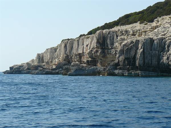 ANTIPAXI - West Coast