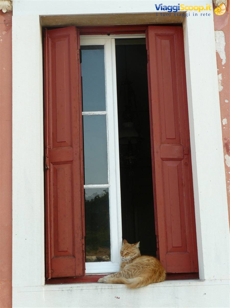 GAIOS