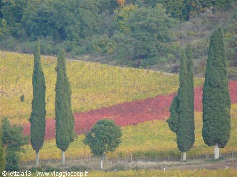 Val d'Orcia - Autumn Colours