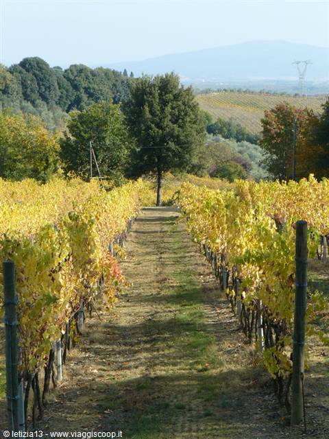 Autumn Colours