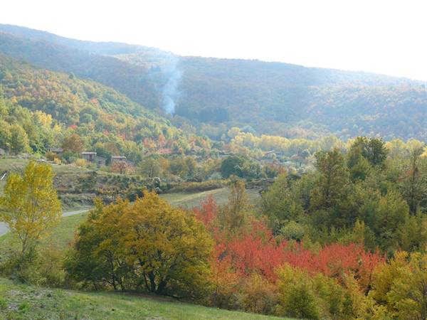 Autumn on the slopes of Mount Amiata