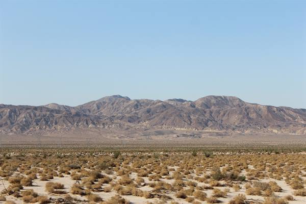 Driving along I-8