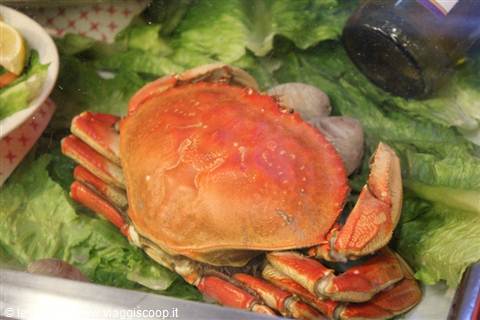 San Francisco - Fisherman's Wharf
