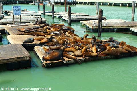 San Francisco - Pier 39