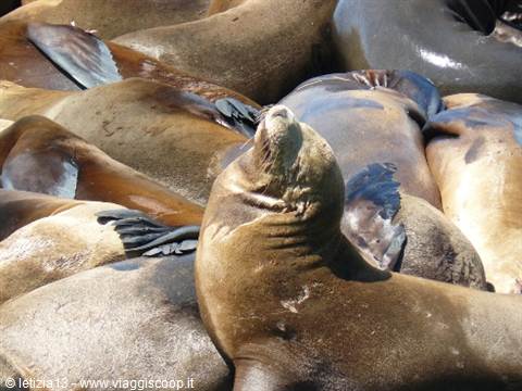 San Francisco - Pier 39