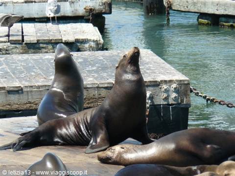 San Francisco - Pier 39