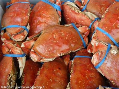 San Francisco - Fisherman's Wharf