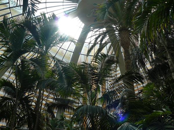 The Hall of the Mirage