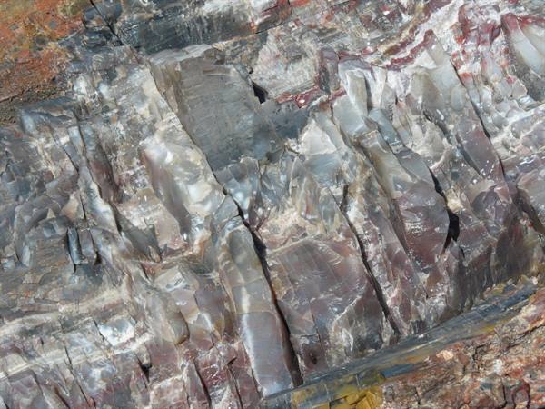 Petrified Forest NP