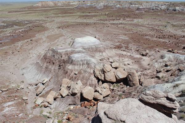 Petrified Forest NP