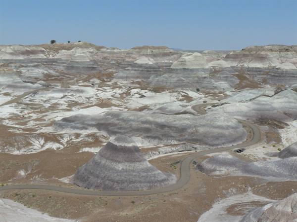 Petrified Forest NP