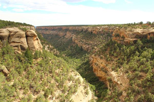 MESA VERDE NP