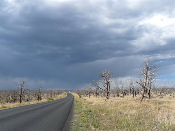 MESA VERDE NP