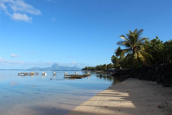 Le Meridien Tahiti - View of Moorea